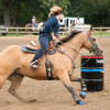 Events | Diamond G Ranch and Western Store